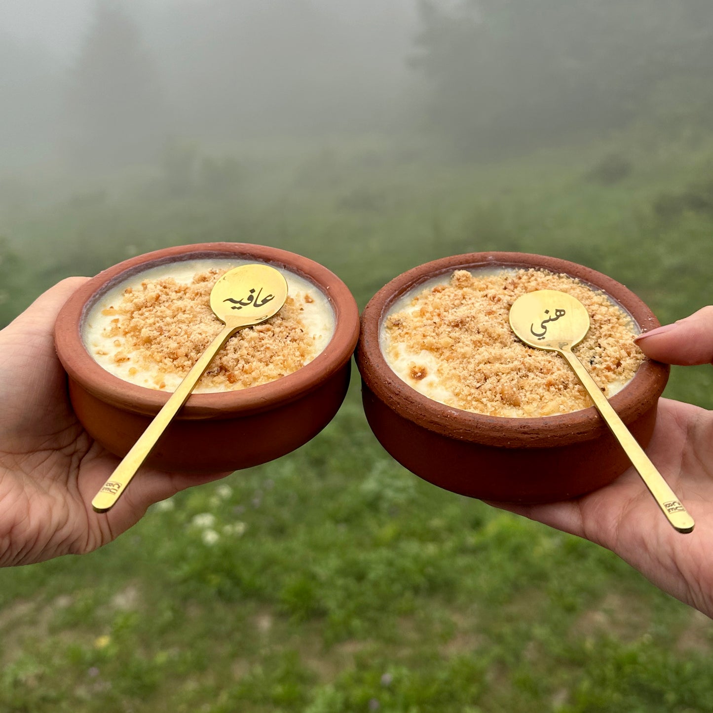 ملاعق منحوته - هني وعافيه